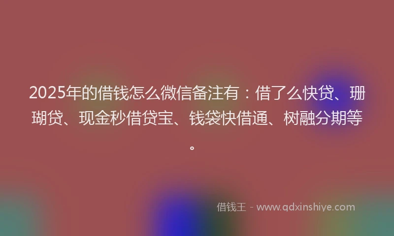2025年的借钱怎么微信备注有：借了么快贷、珊瑚贷、现金秒借贷宝、钱袋快借通、树融分期等。