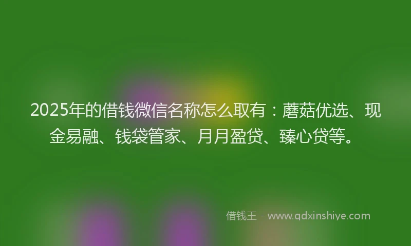 2025年的借钱微信名称怎么取有：蘑菇优选、现金易融、钱袋管家、月月盈贷、臻心贷等。
