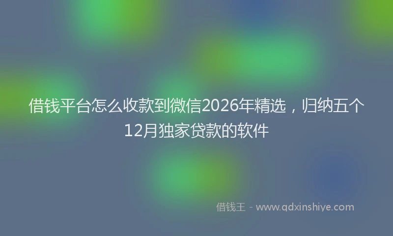 借钱平台怎么收款到微信2026年精选,归纳五个12月独家贷款的软件