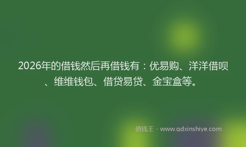 2026年的借钱然后再借钱有：优易购、洋洋借呗、维维钱包、借贷易贷、金宝盒等。