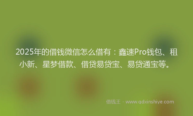 2025年的借钱微信怎么借有:鑫速Pro钱包、租小新、星梦借款、借贷易贷宝、易贷通宝等。