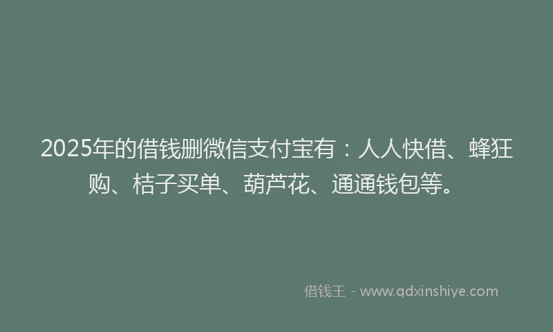 2025年的借钱删微信支付宝有：人人快借、蜂狂购、桔子买单、葫芦花、通通钱包等。
