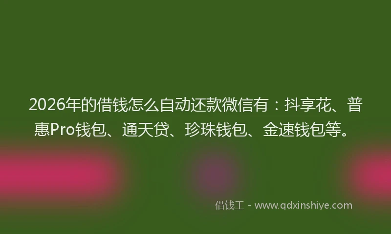 2026年的借钱怎么自动还款微信有：抖享花、普惠Pro钱包、通天贷、珍珠钱包、金速钱包等。