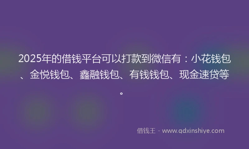 2025年的借钱平台可以打款到微信有:小花钱包、金悦钱包、鑫融钱包、有钱钱包、现金速贷等。