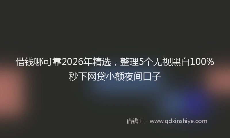 借钱哪可靠2026年精选，整理5个无视黑白100%秒下网贷小额夜间口子