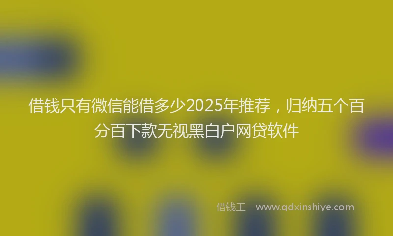 借钱只有微信能借多少2025年推荐，归纳五个百分百下款无视黑白户网贷软件