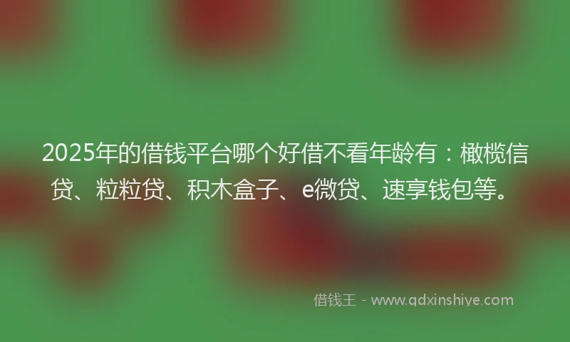 2025年的借钱平台哪个好借不看年龄有：橄榄信贷、粒粒贷、积木盒子、e微贷、速享钱包等。