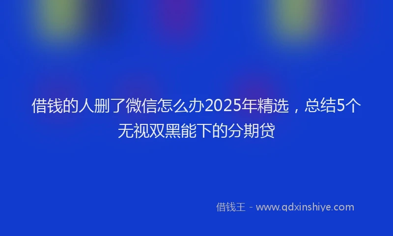 借钱的人删了微信怎么办2025年精选，总结5个无视双黑能下的分期贷