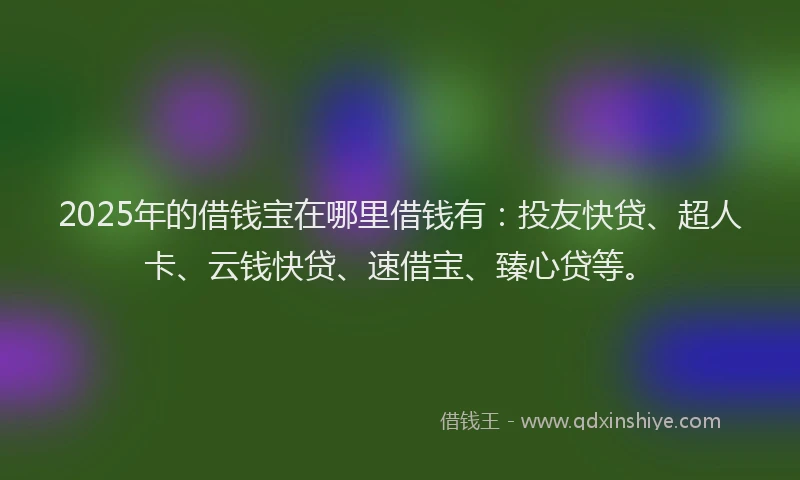 2025年的借钱宝在哪里借钱有：投友快贷、超人卡、云钱快贷、速借宝、臻心贷等。