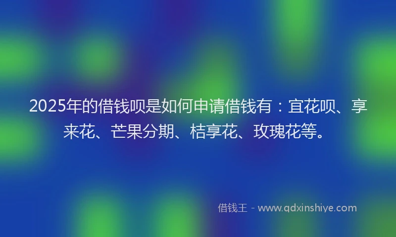 2025年的借钱呗是如何申请借钱有：宜花呗、享来花、芒果分期、桔享花、玫瑰花等。