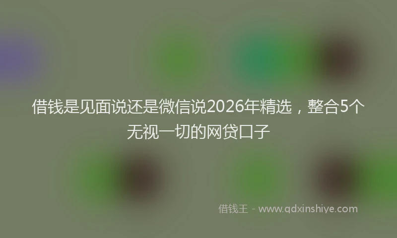 借钱是见面说还是微信说2026年精选，整合5个无视一切的网贷口子