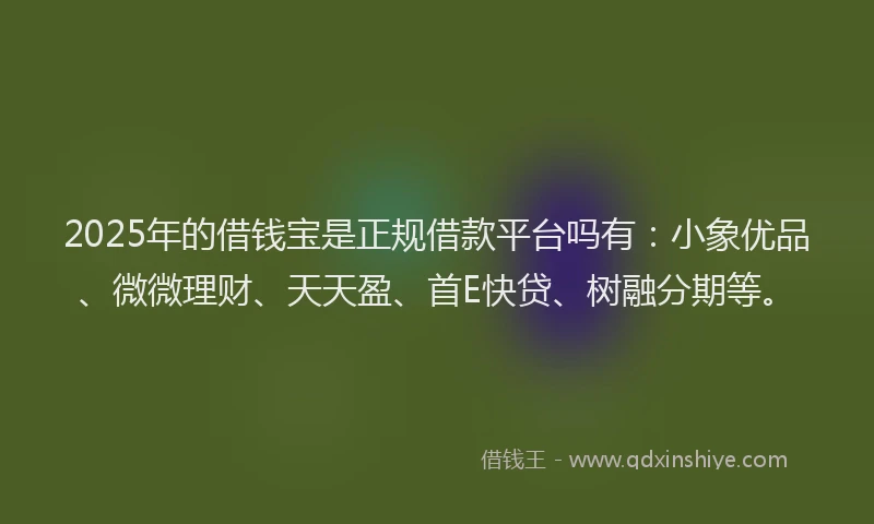2025年的借钱宝是正规借款平台吗有：小象优品、微微理财、天天盈、首E快贷、树融分期等。
