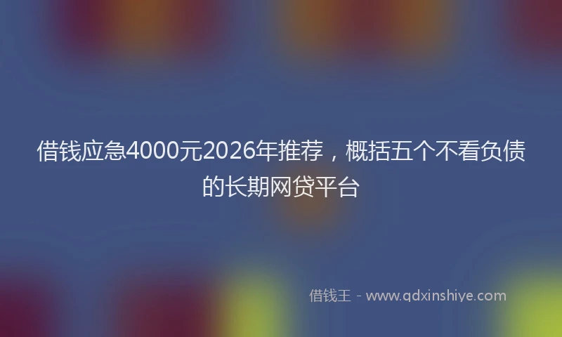 借钱应急4000元2026年推荐，概括五个不看负债的长期网贷平台