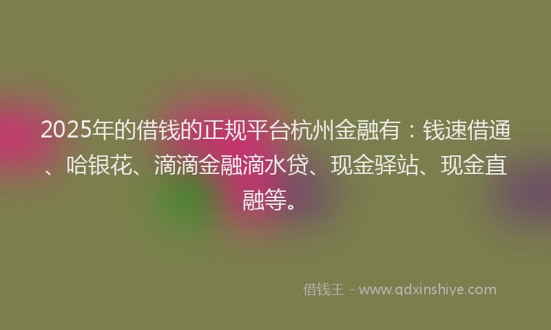 2025年的借钱的正规平台杭州金融有：钱速借通、哈银花、滴滴金融滴水贷、现金驿站、现金直融等。
