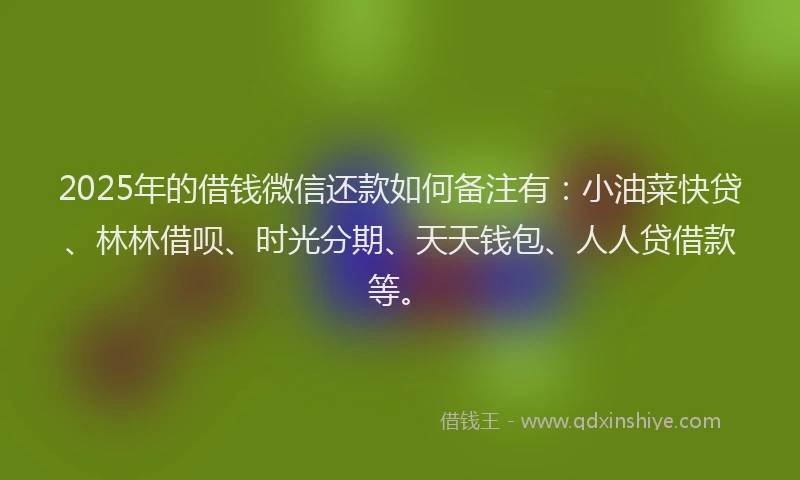 2025年的借钱微信还款如何备注有：小油菜快贷、林林借呗、时光分期、天天钱包、人人贷借款等。