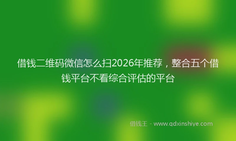 借钱二维码微信怎么扫2026年推荐，整合五个借钱平台不看综合评估的平台