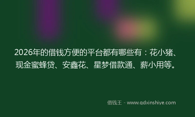 2026年的借钱方便的平台都有哪些有：花小猪、现金蜜蜂贷、安鑫花、星梦借款通、薪小用等。