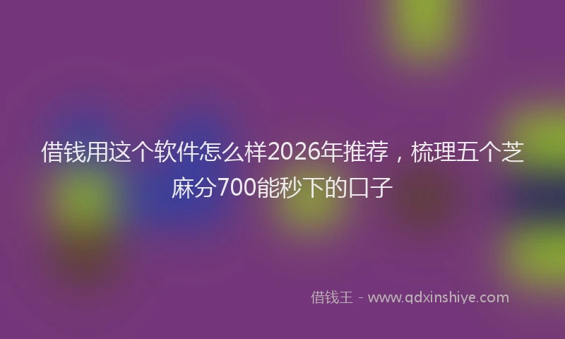 借钱用这个软件怎么样2026年推荐，梳理五个芝麻分700能秒下的口子