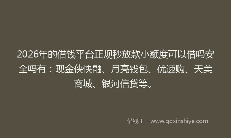 2026年的借钱平台正规秒放款小额度可以借吗安全吗有：现金侠快融、月亮钱包、优速购、天美商城、银河信贷等。