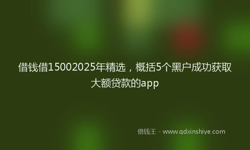 借钱借15002025年精选，概括5个黑户成功获取大额贷款的app