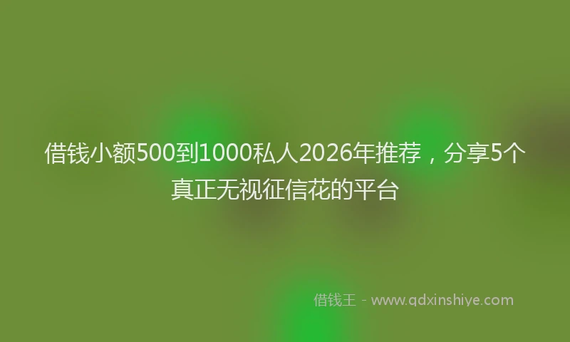 借钱小额500到1000私人2026年推荐，分享5个真正无视征信花的平台