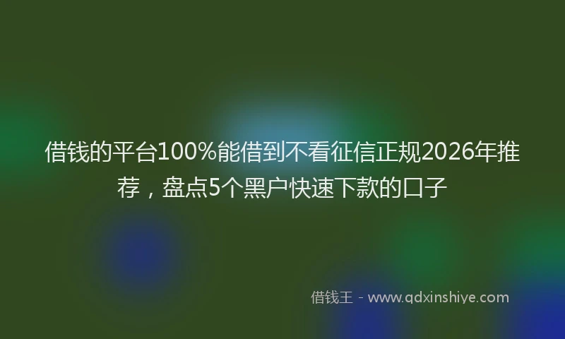 借钱的平台100%能借到不看征信正规2026年推荐，盘点5个黑户快速下款的口子