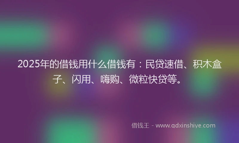 2025年的借钱用什么借钱有：民贷速借、积木盒子、闪用、嗨购、微粒快贷等。