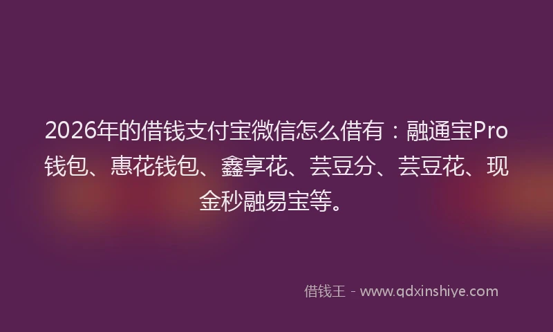 2026年的借钱支付宝微信怎么借有:融通宝Pro钱包、惠花钱包、鑫享花、芸豆分、芸豆花、现金秒融易宝等。