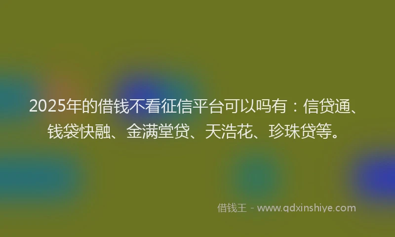 2025年的借钱不看征信平台可以吗有：信贷通、钱袋快融、金满堂贷、天浩花、珍珠贷等。