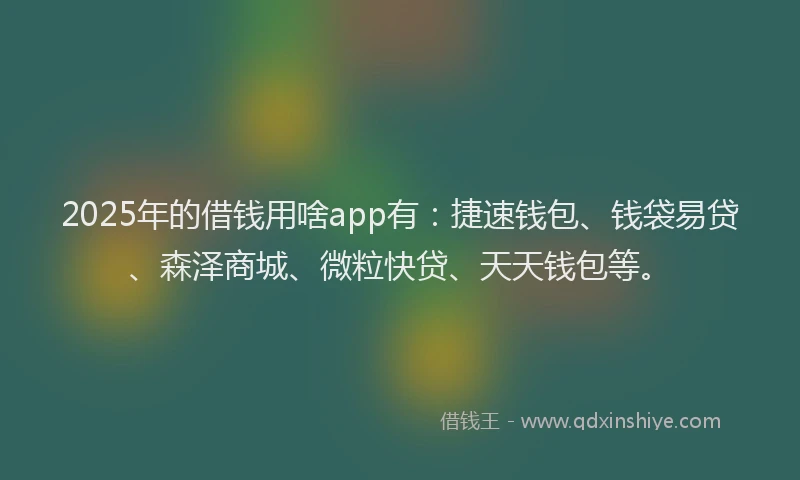 2025年的借钱用啥app有：捷速钱包、钱袋易贷、森泽商城、微粒快贷、天天钱包等。