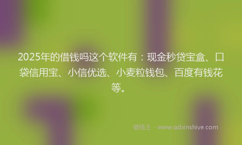 2025年的借钱吗这个软件有：现金秒贷宝盒、口袋信用宝、小信优选、小麦粒钱包、百度有钱花等。