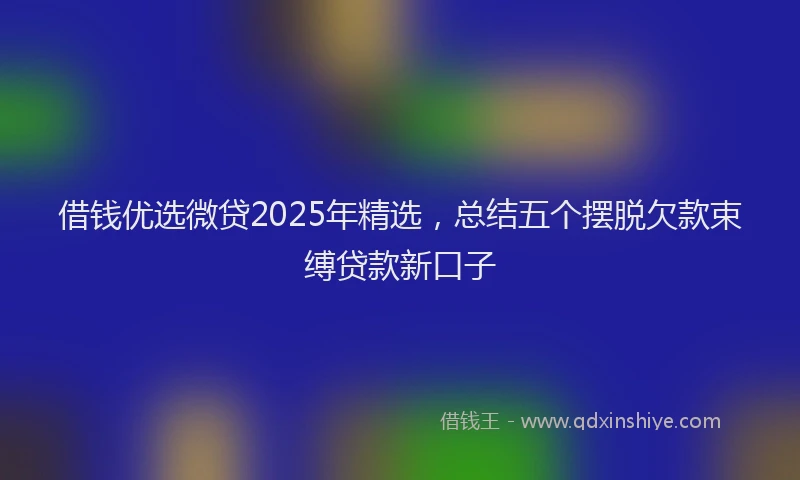 借钱优选微贷2025年精选，总结五个摆脱欠款束缚贷款新口子