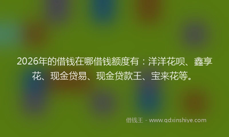 2026年的借钱在哪借钱额度有：洋洋花呗、鑫享花、现金贷易、现金贷款王、宝来花等。