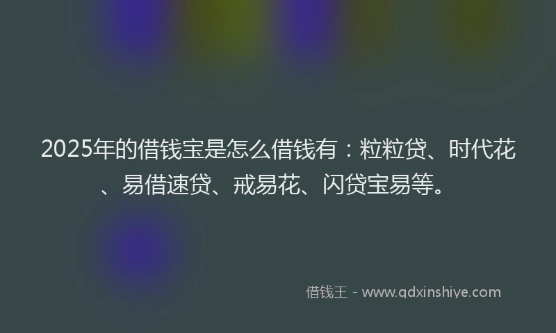 2025年的借钱宝是怎么借钱有：粒粒贷、时代花、易借速贷、戒易花、闪贷宝易等。