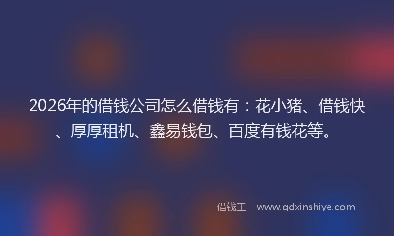 2026年的借钱公司怎么借钱有：花小猪、借钱快、厚厚租机、鑫易钱包、百度有钱花等。