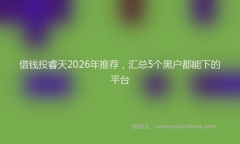借钱投睿天2026年推荐，汇总5个黑户都能下的平台