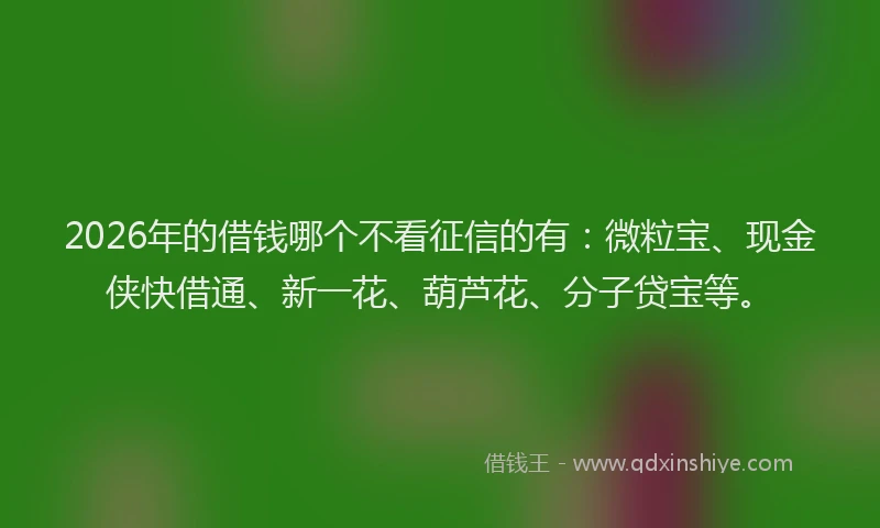 2026年的借钱哪个不看征信的有:微粒宝、现金侠快借通、新一花、葫芦花、分子贷宝等。