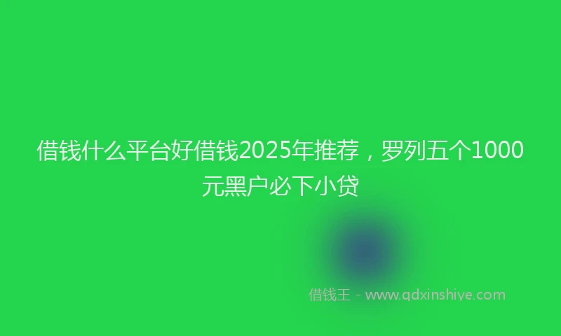 借钱什么平台好借钱2025年推荐，罗列五个1000元黑户必下小贷