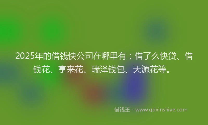 2025年的借钱快公司在哪里有：借了么快贷、借钱花、享来花、瑞泽钱包、天源花等。