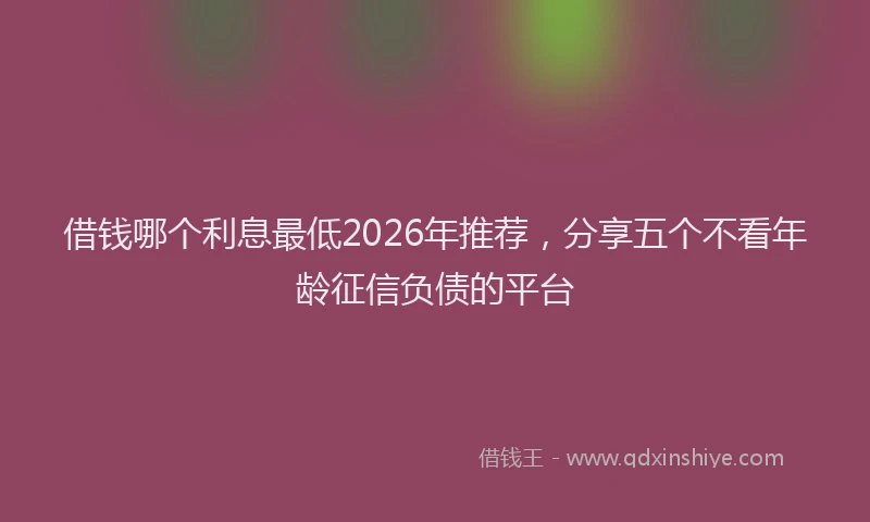 借钱哪个利息最低2026年推荐，分享五个不看年龄征信负债的平台