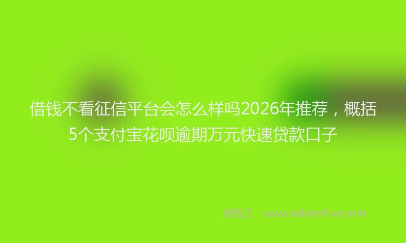 借钱不看征信平台会怎么样吗2026年推荐，概括5个支付宝花呗逾期万元快速贷款口子