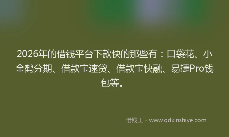 2026年的借钱平台下款快的那些有：口袋花、小金鹤分期、借款宝速贷、借款宝快融、易捷Pro钱包等。