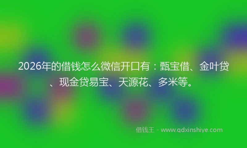 2026年的借钱怎么微信开口有：甄宝借、金叶贷、现金贷易宝、天源花、多米等。