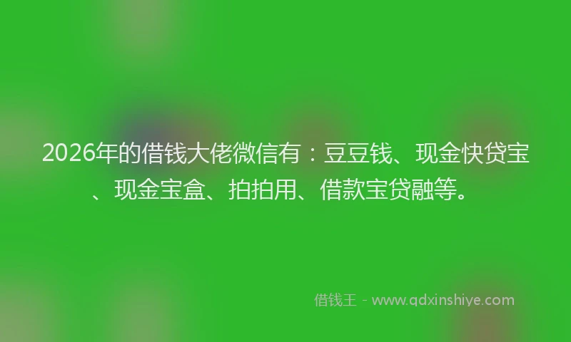 2026年的借钱大佬微信有:豆豆钱、现金快贷宝、现金宝盒、拍拍用、借款宝贷融等。