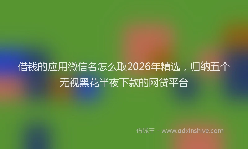 借钱的应用微信名怎么取2026年精选，归纳五个无视黑花半夜下款的网贷平台