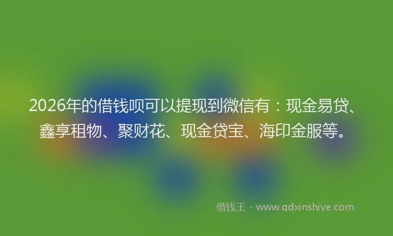 2026年的借钱呗可以提现到微信有:现金易贷、鑫享租物、聚财花、现金贷宝、海印金服等。