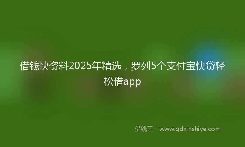 借钱快资料2025年精选，罗列5个支付宝快贷轻松借app