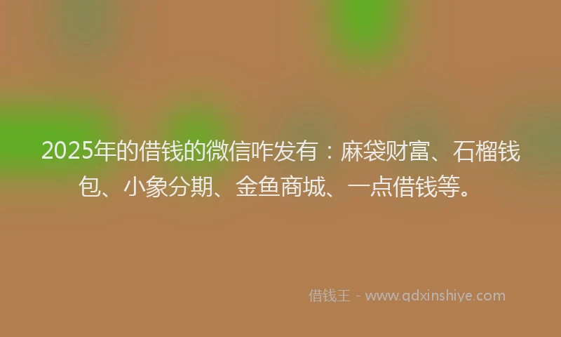 2025年的借钱的微信咋发有：麻袋财富、石榴钱包、小象分期、金鱼商城、一点借钱等。