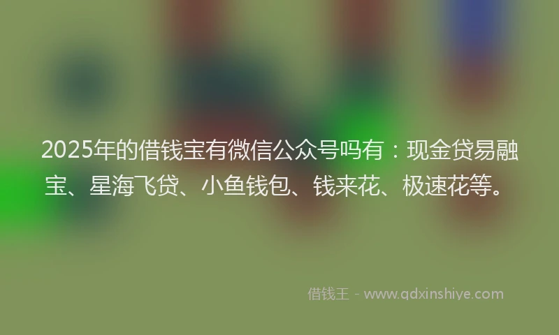 2025年的借钱宝有微信公众号吗有：现金贷易融宝、星海飞贷、小鱼钱包、钱来花、极速花等。