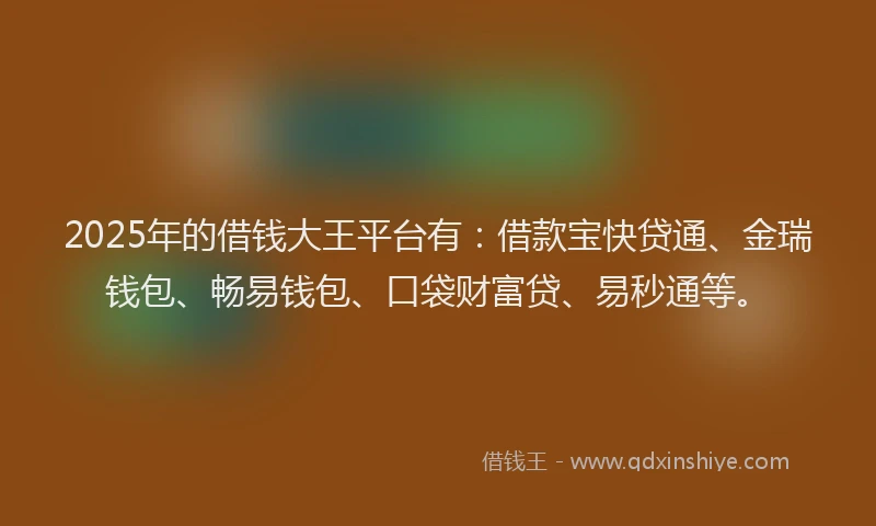 2025年的借钱大王平台有：借款宝快贷通、金瑞钱包、畅易钱包、口袋财富贷、易秒通等。